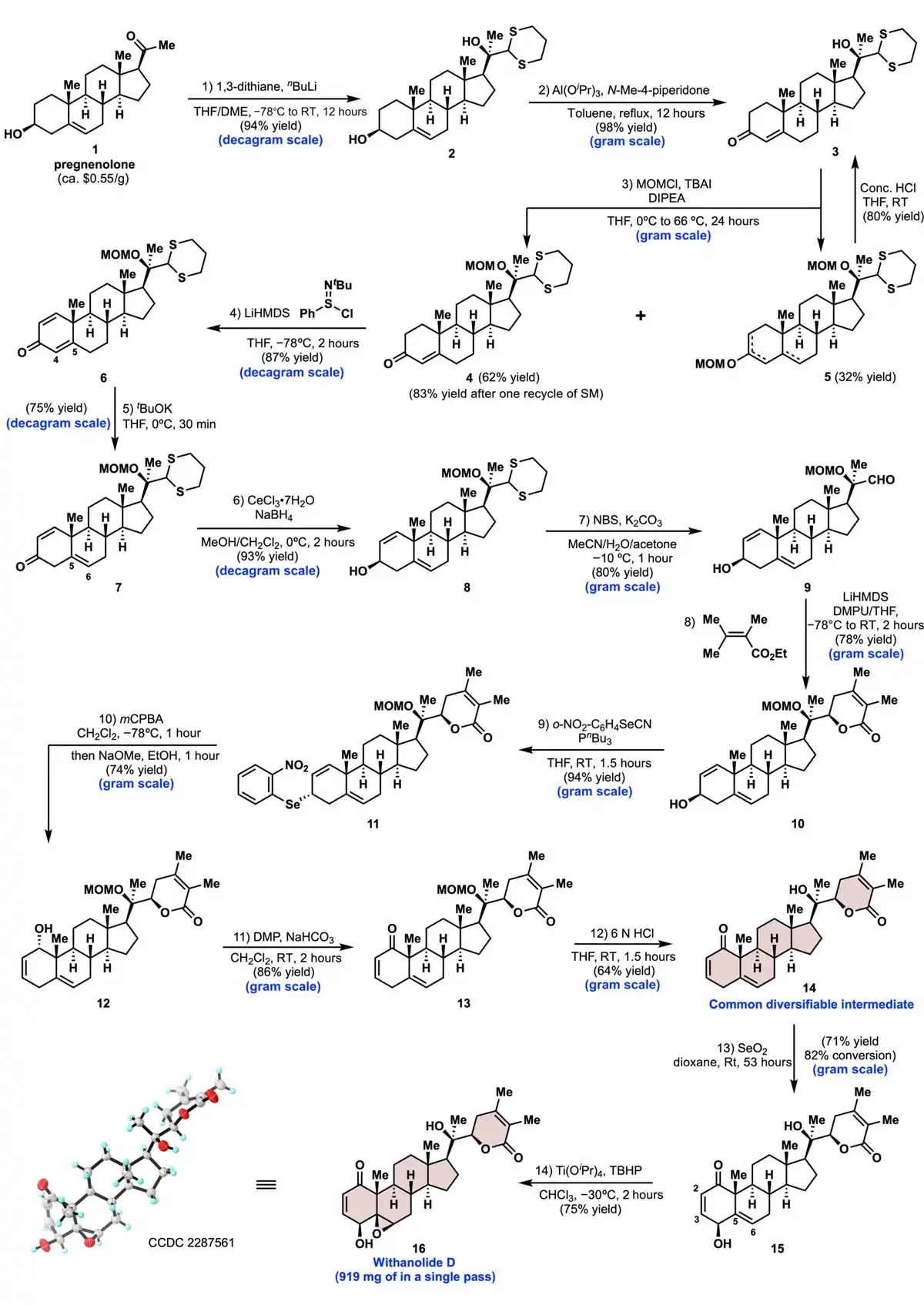 Ashwagandha Withanolide Pure.jpg